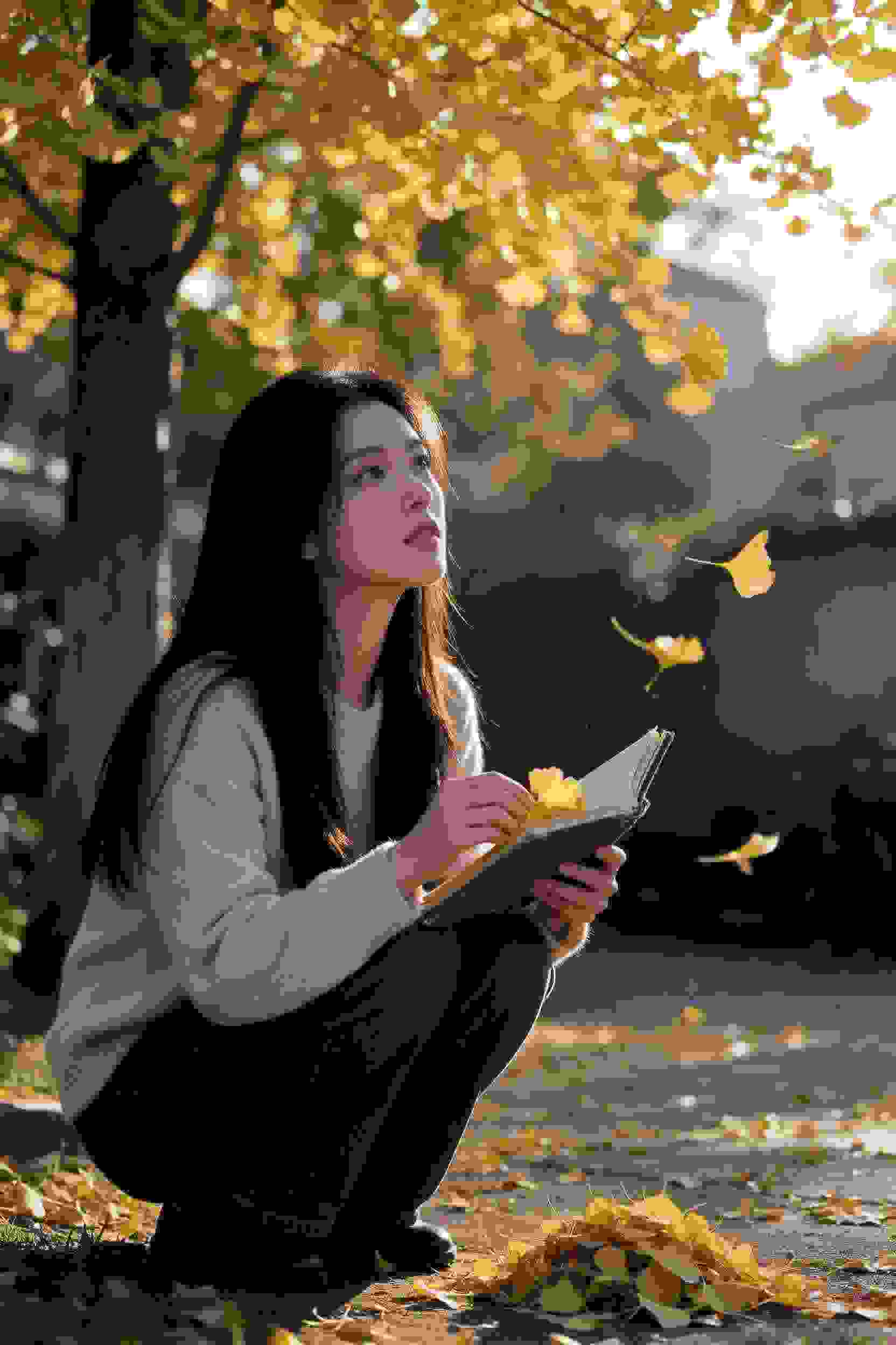 精灵之森